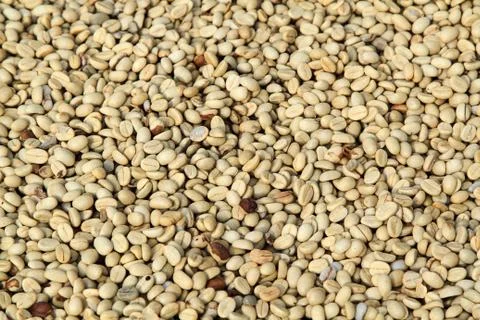 Coffee beans Stock Photos