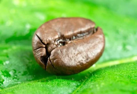 Coffee beans Stock Photos