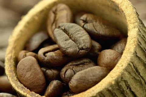 Coffee beans Stock Photos