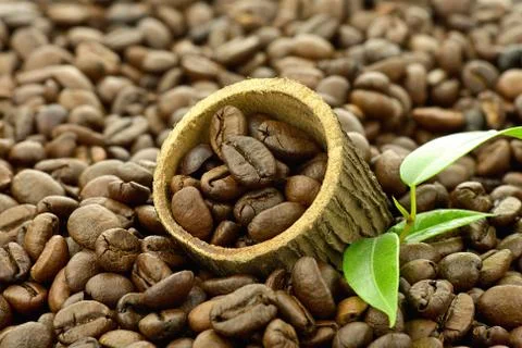Coffee beans Stock Photos
