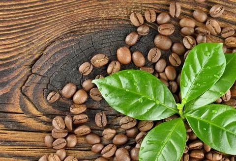Coffee beans Stock Photos