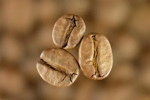 Coffee beans Stock Photos