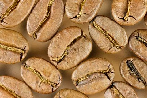 Coffee beans Stock Photos