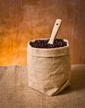 Coffee beans Stock Photos