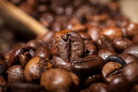 Coffee beans Stock Photos