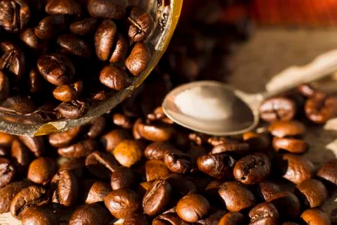Coffee beans. Stock Photos