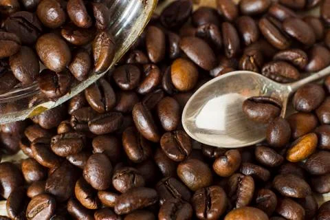 Coffee beans. Stock Photos