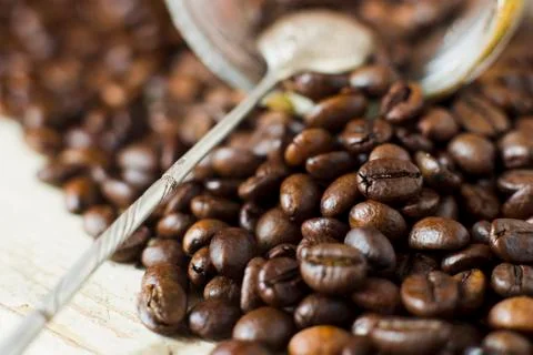 Coffee beans. Stock Photos