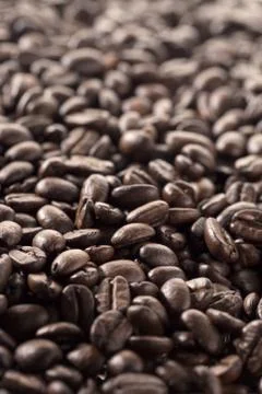 Coffee beans Stock Photos