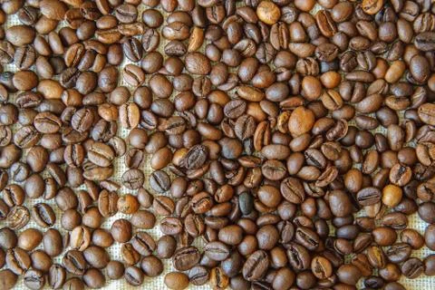 Coffee beans Stock Photos