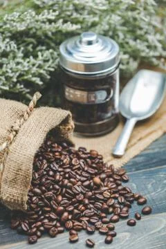 Coffee beans Stock Photos