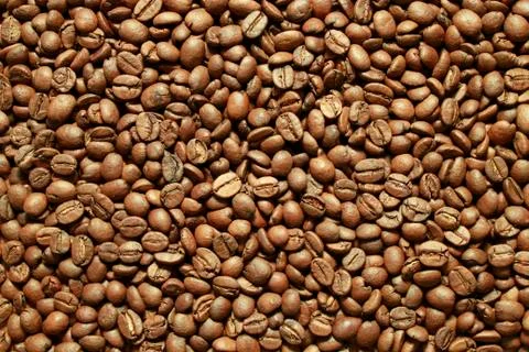 Coffee beans Stock-Fotos