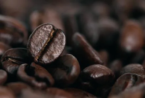 Coffee beans Stock Photos