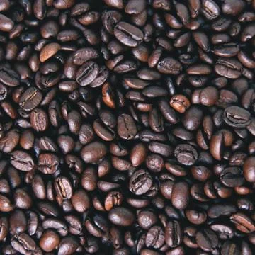 Coffee beans 스톡 사진