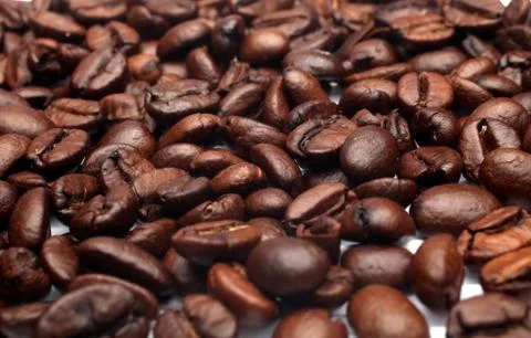 Coffee beans 写真素材