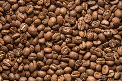 Coffee beans Stock Photos