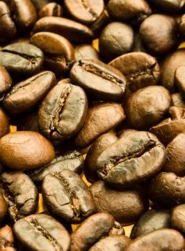 Coffee beans Stock Photos