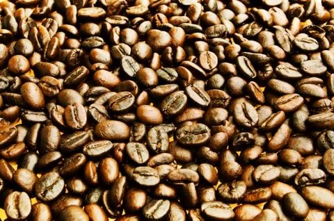 Coffee beans Stock Photos