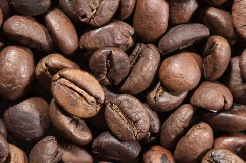 Coffee beans Stock Photos