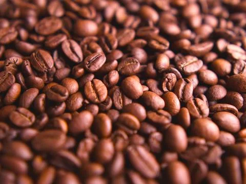 Coffee beans Stock Photos