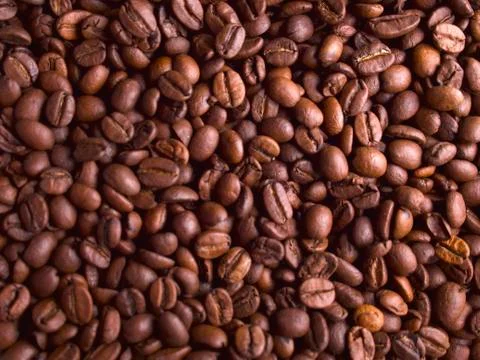 Coffee beans Stock Photos