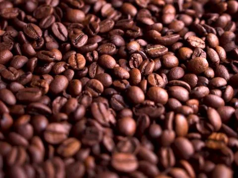 Coffee beans Stock Photos