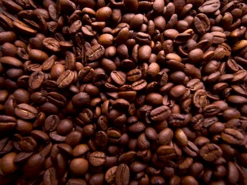 Coffee beans Stock Photos
