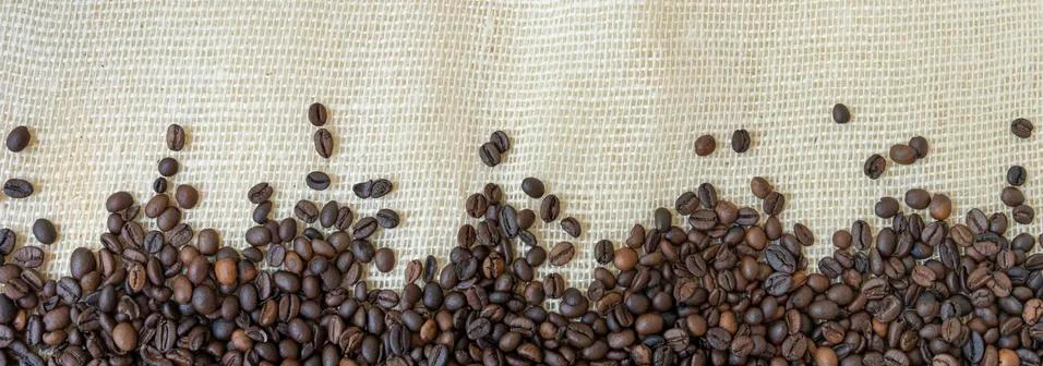 Coffee beans. Stock Photos