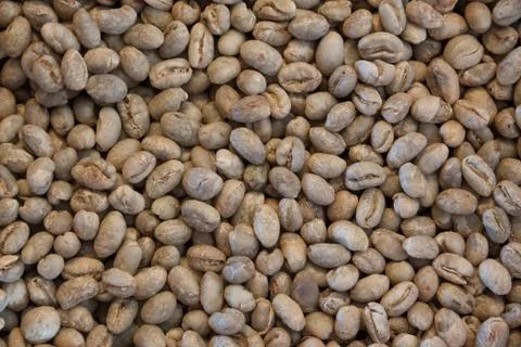 Coffee beans Stock Photos