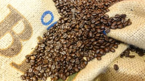 Coffee Beans Stock Photos