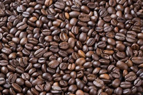 Coffee beans on Stock Photos