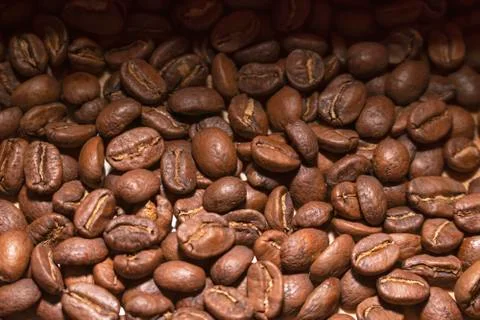 Coffee beans. Stock Photos
