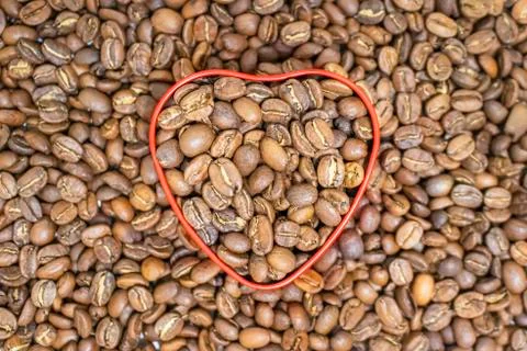 Coffee beans. Stock Photos