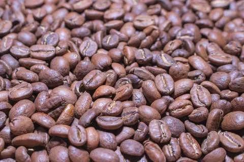 Coffee beans. Stock Photos