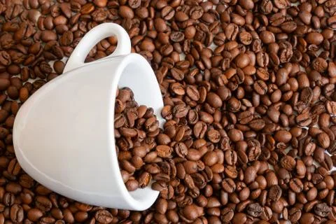 Coffee beans 库存照片