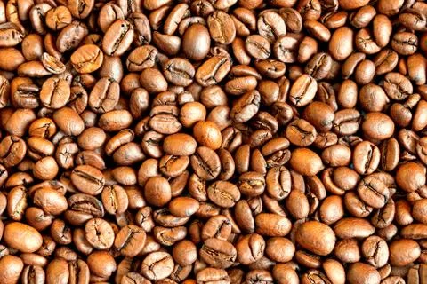 Coffee beans Stock Photos