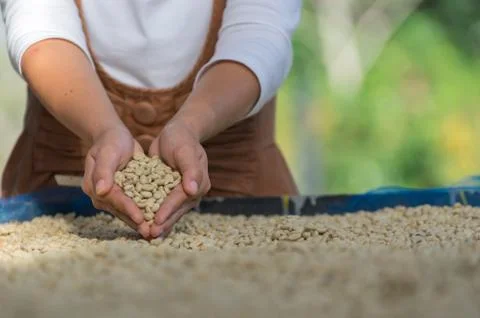 Coffee beans Stock-Fotos