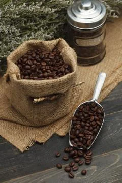 Coffee beans Stock Photos
