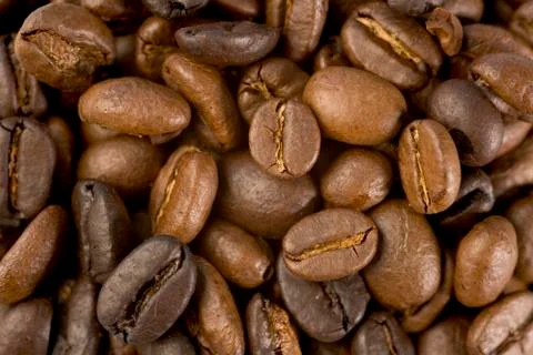 Coffee beans Stock Photos