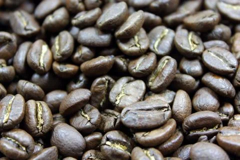 Coffee beans Stock Photos