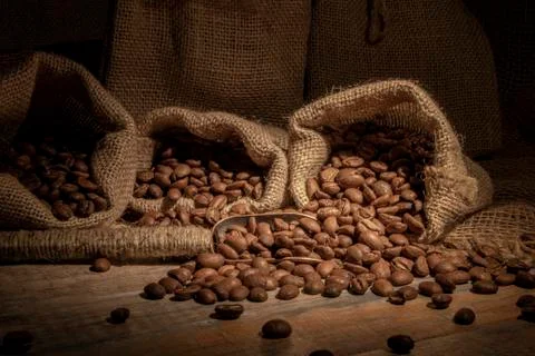 Coffee beans. Stock Photos