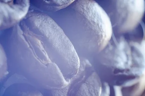 Coffee beans Stock Photos