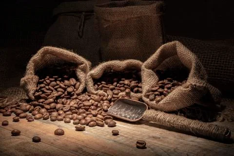 Coffee beans. Stock Photos