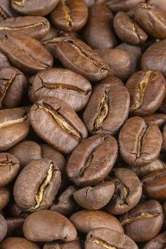 Coffee beans Stock Photos