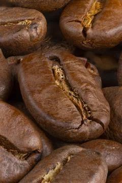 Coffee beans Stock Photos