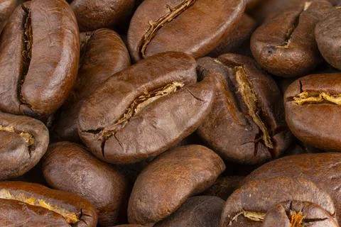 Coffee beans Stock Photos