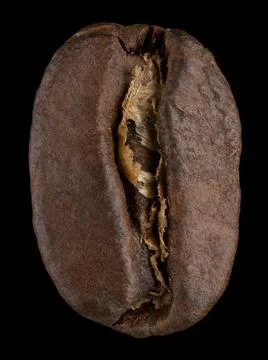 Coffee beans Stock Photos