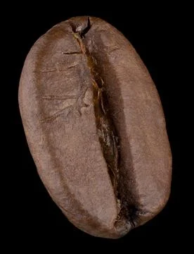 Coffee beans Stock Photos