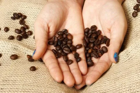 Coffee Beans Stock Photos