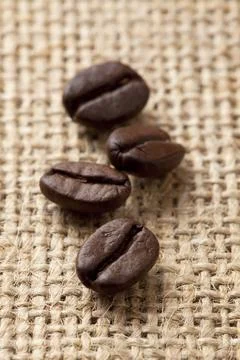 Coffee beans Stock Photos